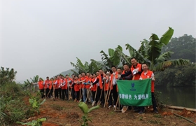 播种绿色，共建美丽东富